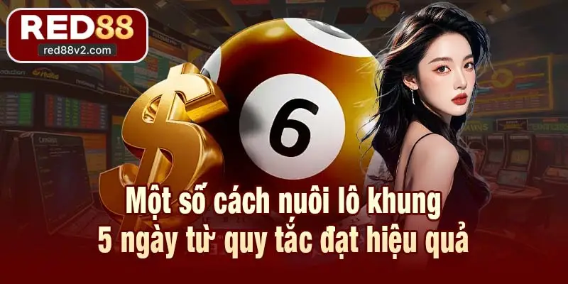Một số cách nuôi lô khung 5 ngày từ quy tắc đạt hiệu quả