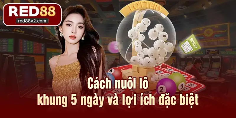 Cách nuôi lô khung 5 ngày và lợi ích đặc biệt