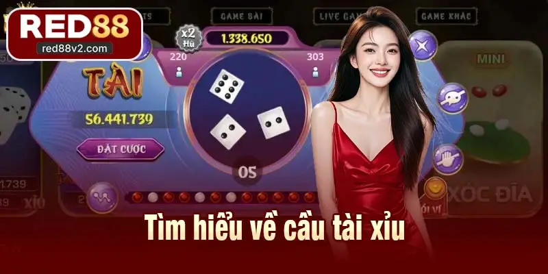 Tìm hiểu về cầu tài xỉu